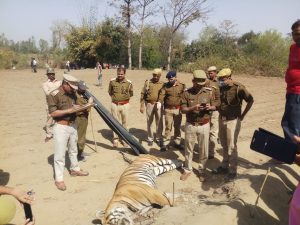 WhatsApp Image 2021-03-01 at 1.06.35 PM