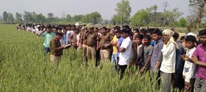 WhatsApp Image 2021-03-11 at 1.54.39 PM