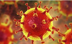 WhatsApp Image 2021-04-01 at 12.23.52 AM