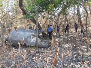 WhatsApp Image 2021-04-26 at 7.22.03 PM